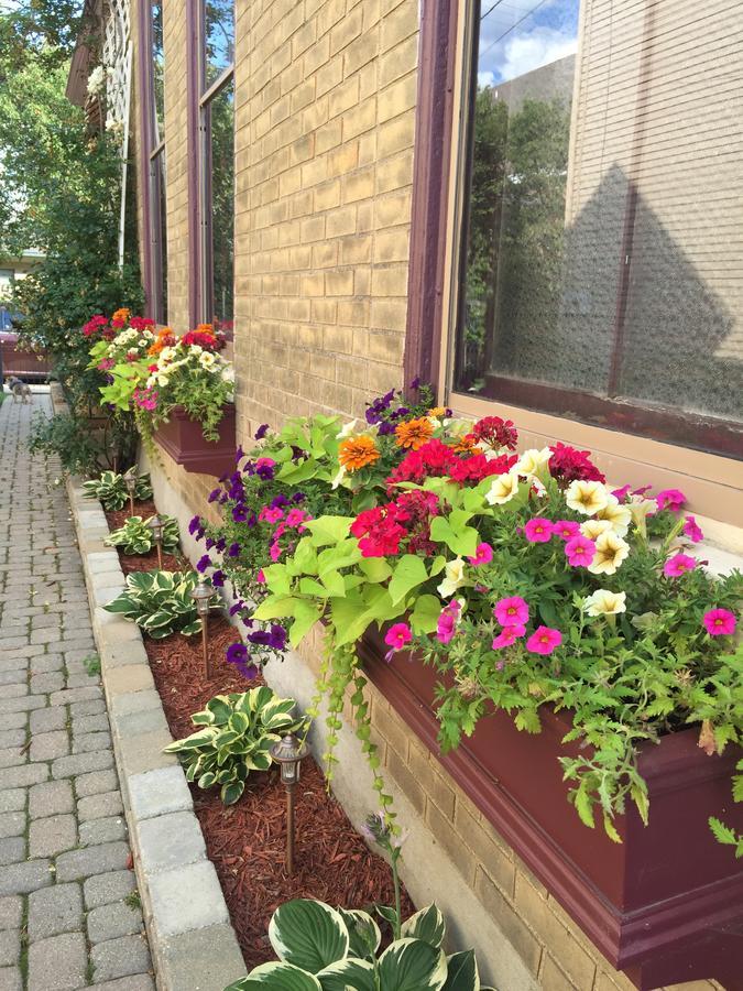 Weller Haus Bed, Breakfast & Event Center Bed and Breakfast Bellevue Buitenkant foto